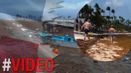 El Sargazo Mantiene En Alerta Las Playas Dominicanas | La Economía Cae | Hoy Mismo