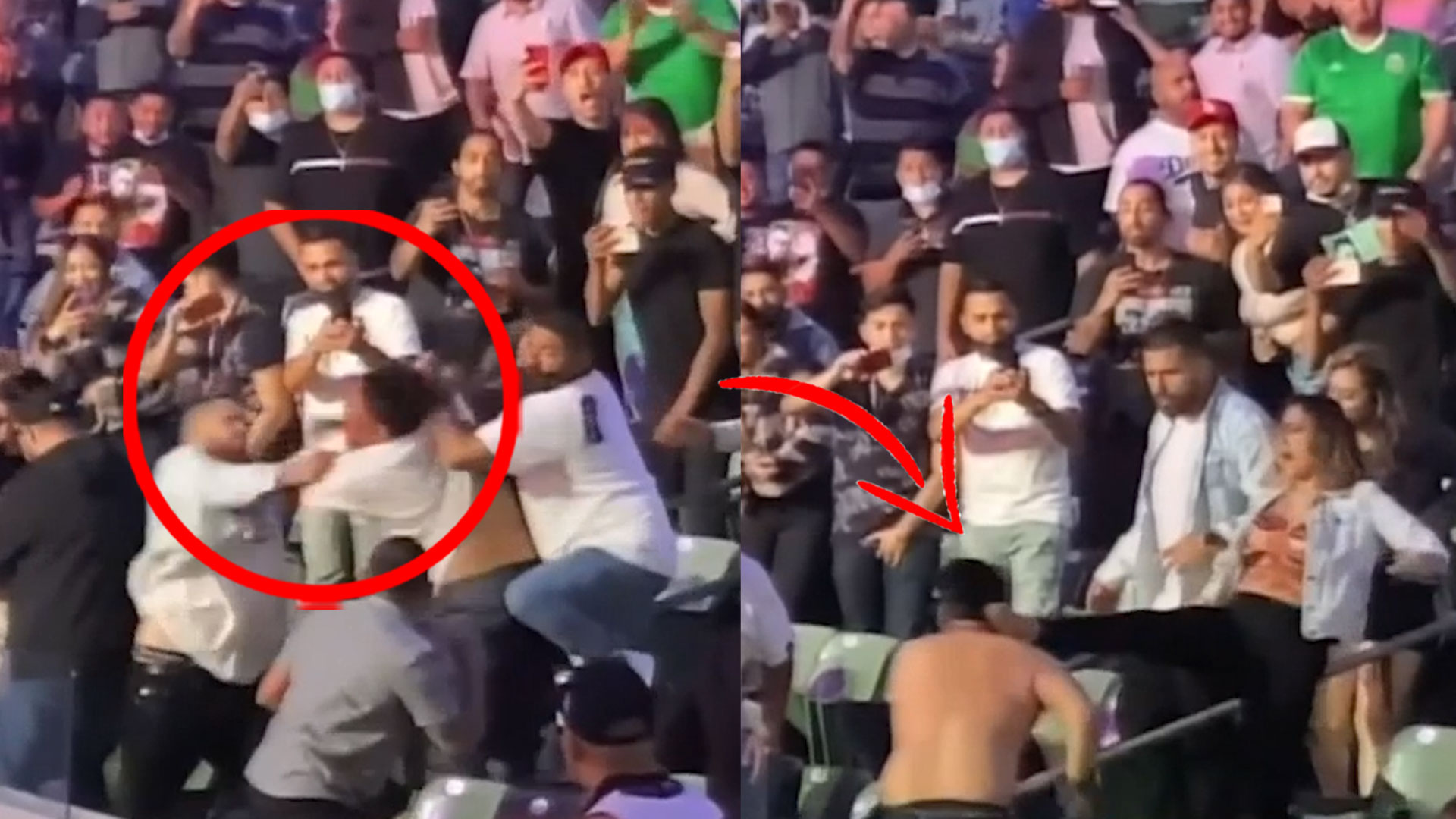 Fanáticos Arman Tremendo Pleito “a La Trompa” En Una Pelea De Boxeo De Andy Ruiz