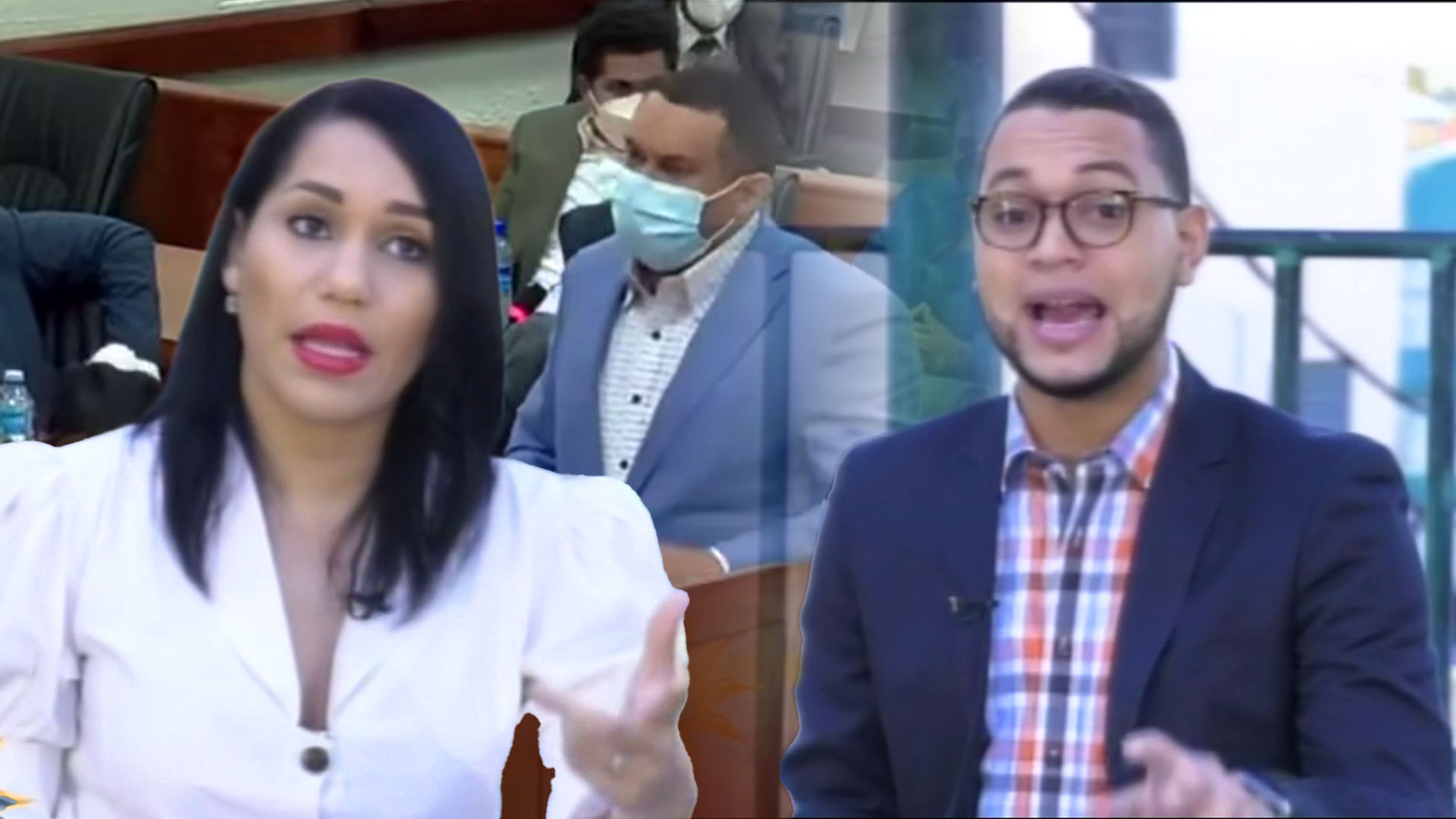 Lorenny Solano Dice Que Si Hubiese Ganado El PLD No Se Hubiesen Conocido Las Declaraciones De Raúl Girón