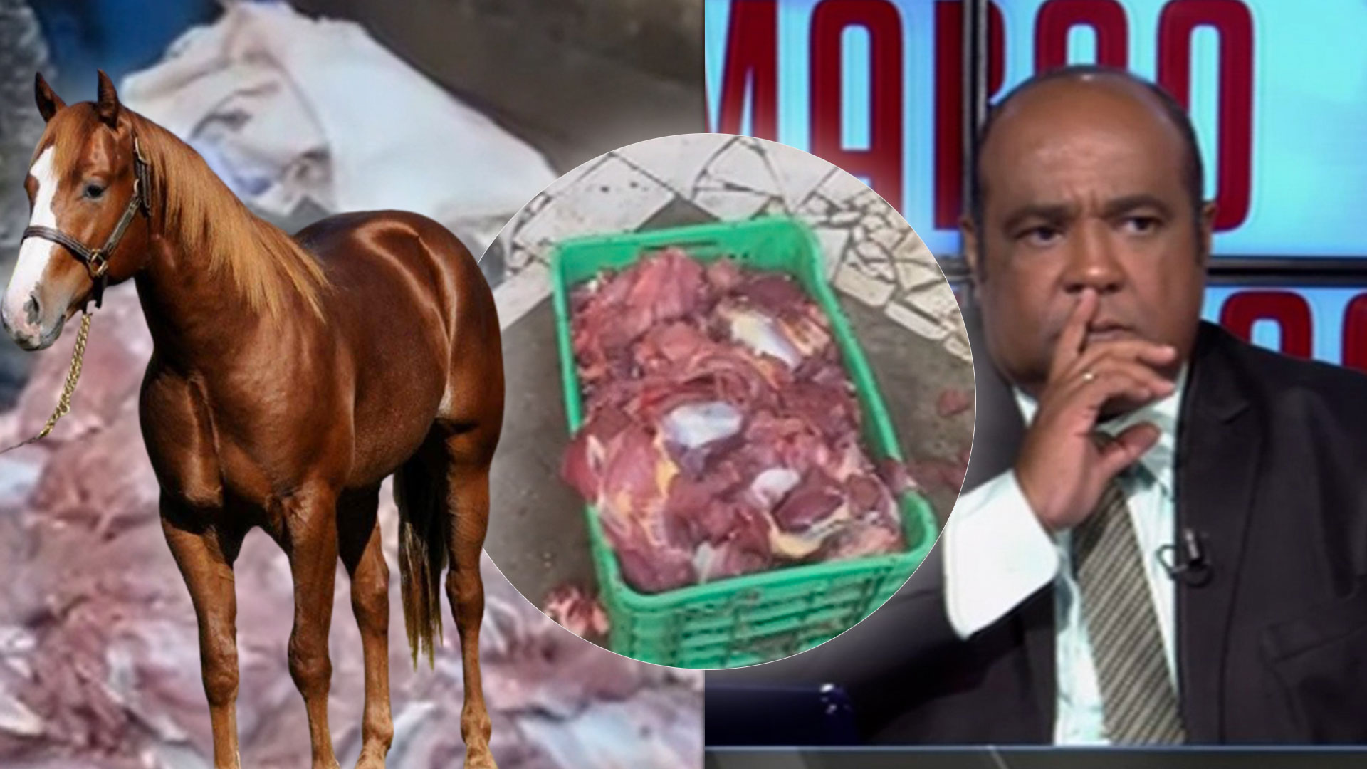 Venta De Carne De ¡CABALLO! En El Pasito De Guayubín 