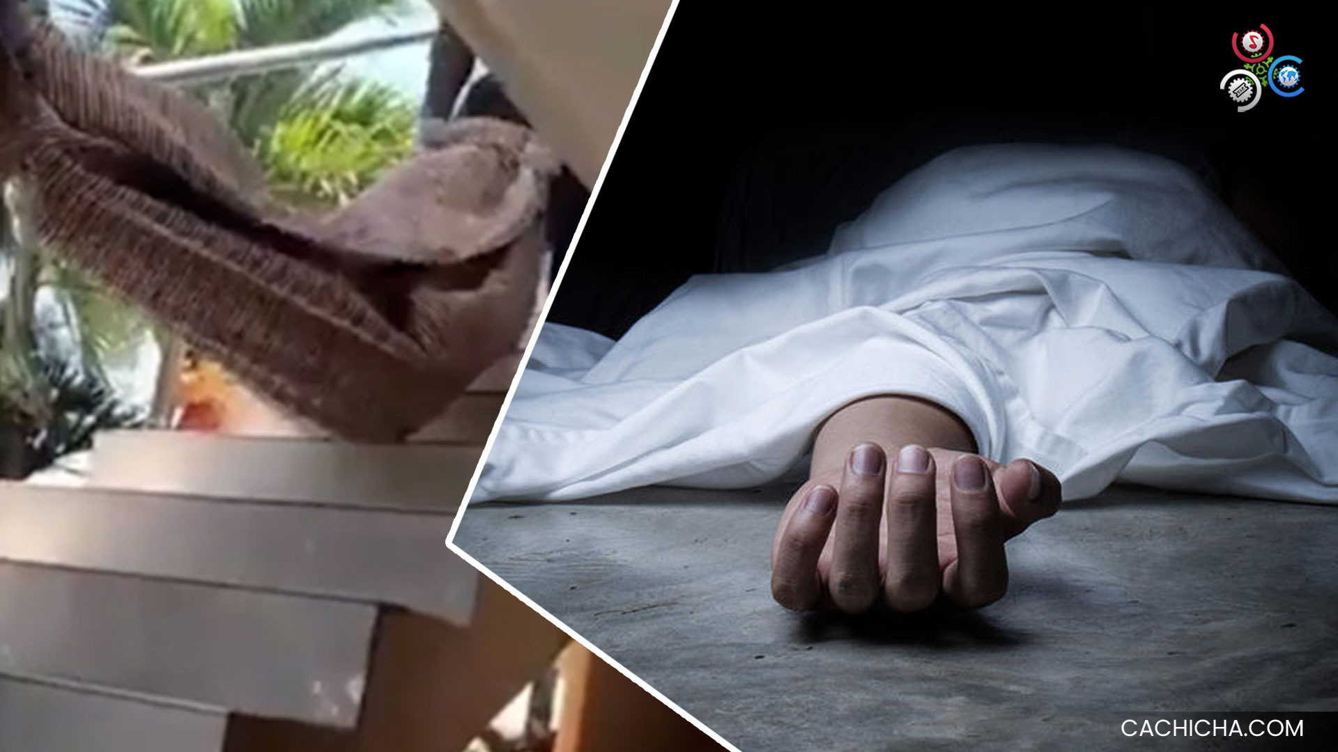 Le Quitan La Vida De Varias Estocadas A Señora De 77 Año Que Recién Había Regresado De E.E.U.U. En Santiago