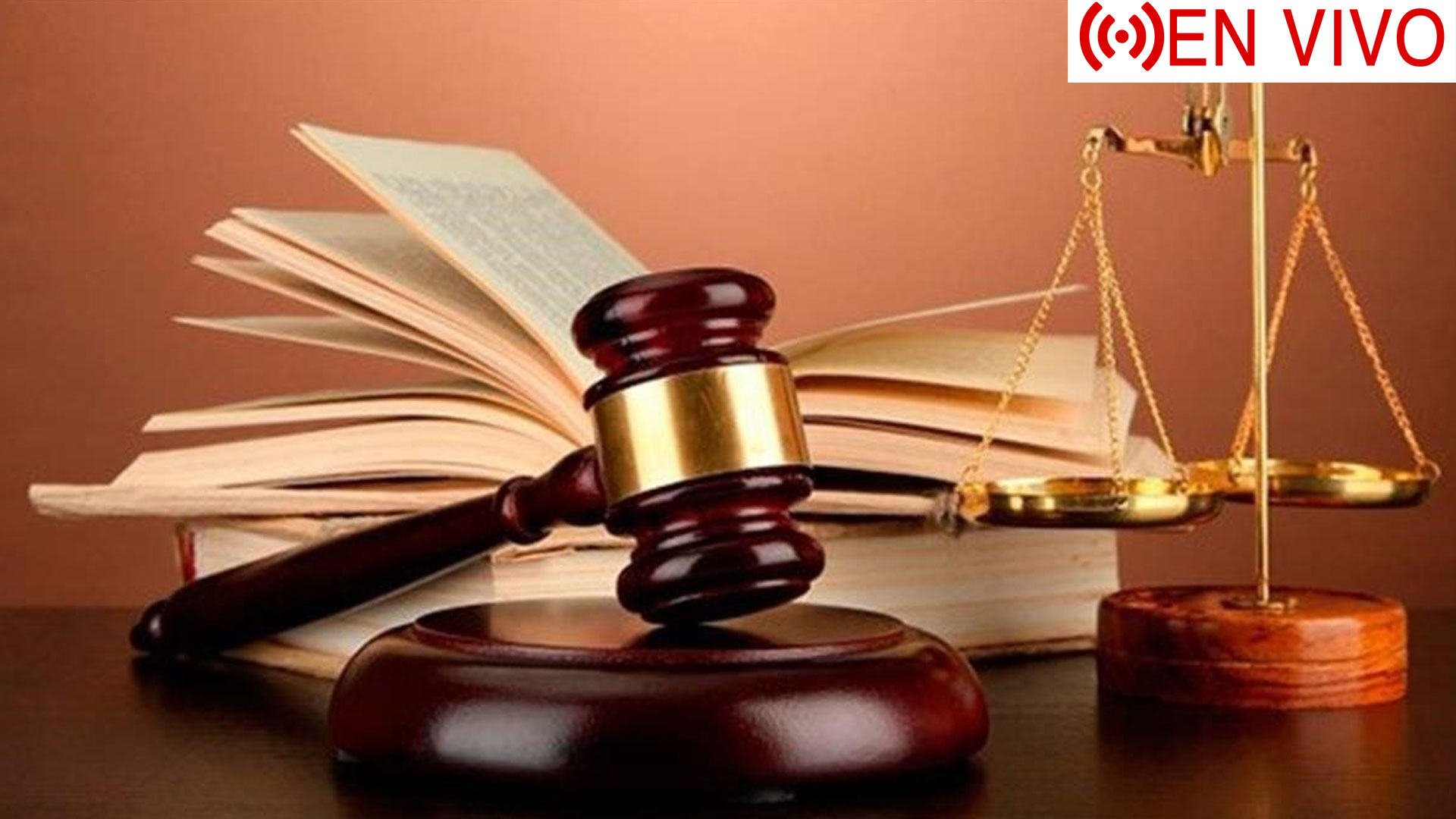 EN VIVO: Vistas Públicas Ley Código Penal