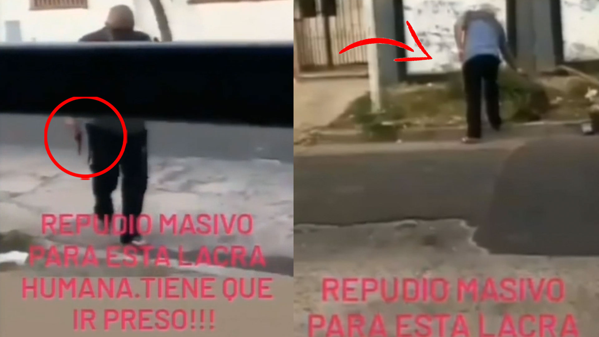 Captado En Cámara Como Un Hombre Asesina Un Perro De Varios Disparos 