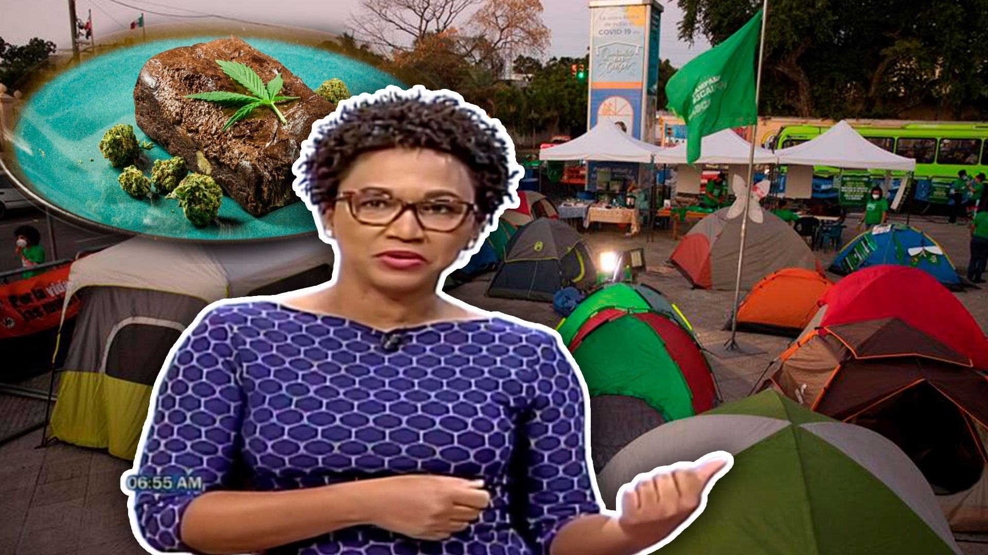 Edith Febles Cuenta Los últimos Detalles Sobre La Mujer Culpable De Llevar Brownies De Marihuana A Campamento 3 Causales