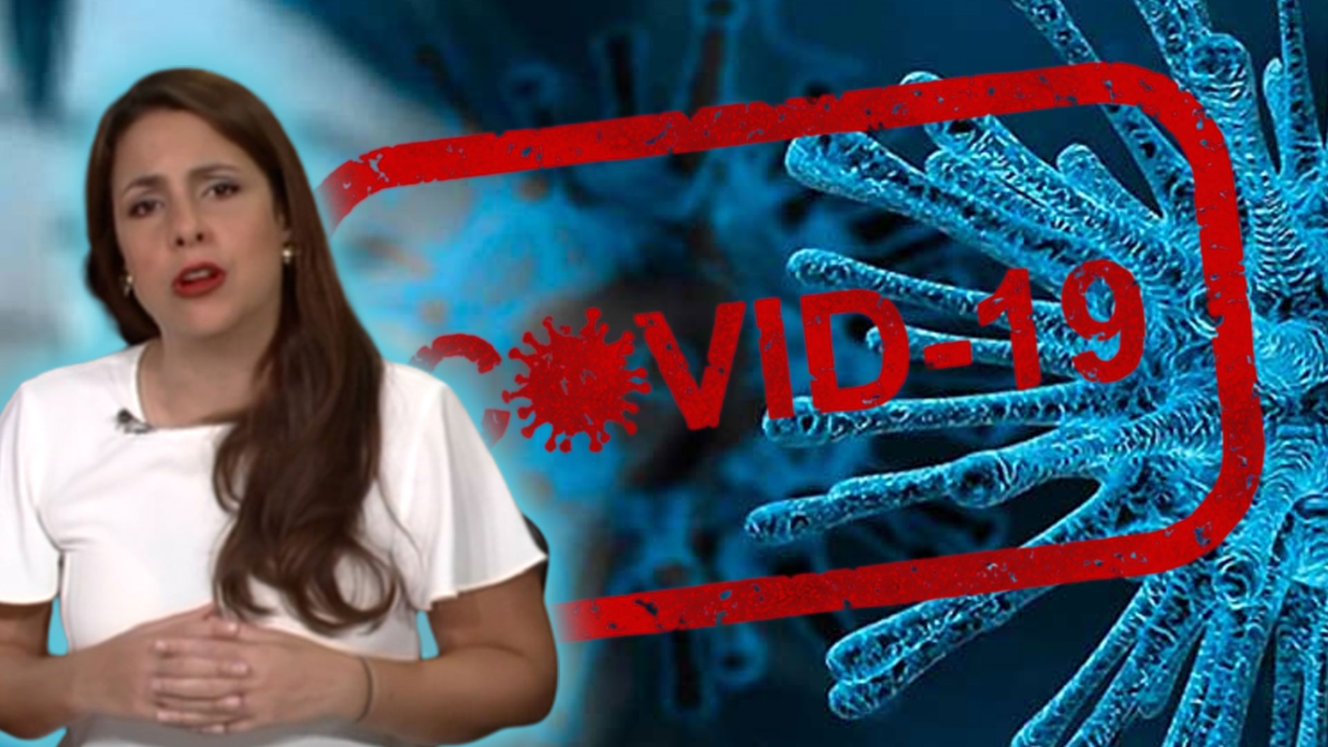 Laura Castellanos Dice: “no Es Solamente La Irresponsabilidad Del Ciudadano, El Gobierno También Ha Fallado En Controlar”