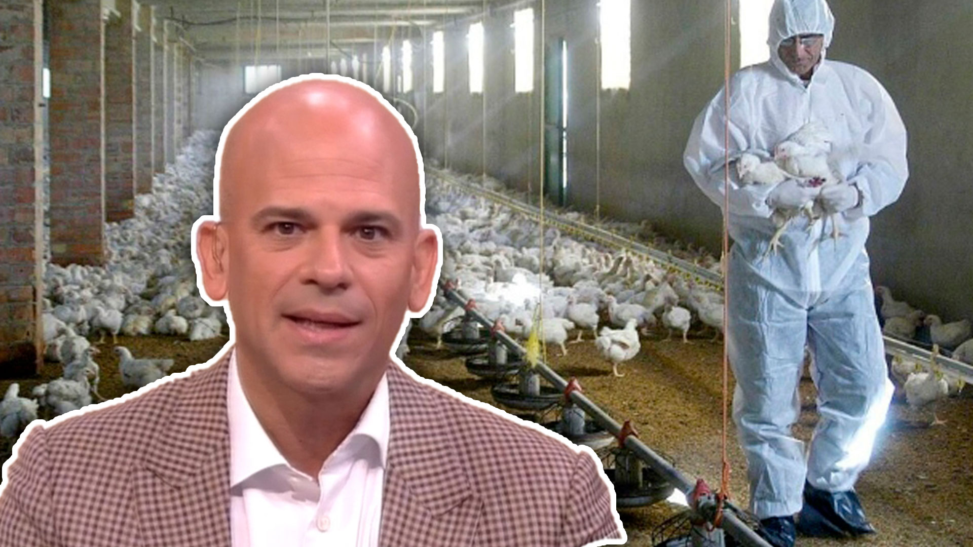 Detalles Sobre La Detección Del Primer Caso Mundial De Gripe Aviar H10N3 En Seres Humanos En China