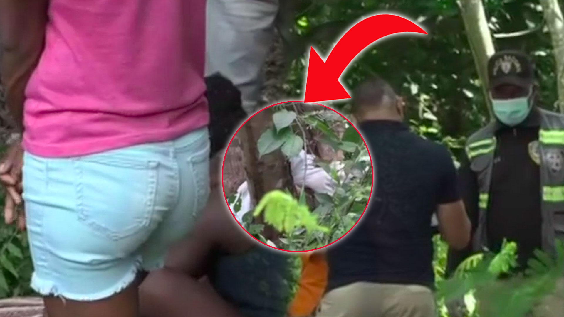 ¡Más Detalles! Del Padre Que Supuestamente Mata A Su Bebe De 5 Meses Y La Tira En Un Árbol “origen Haitiano”