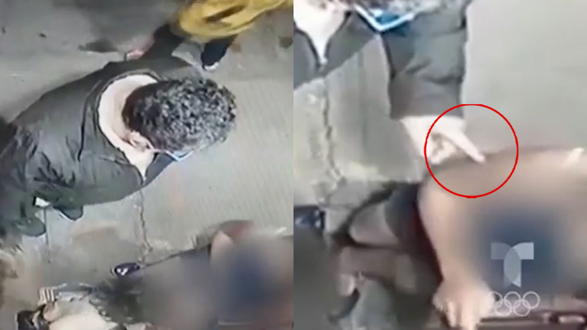 Un Perro Evita Que Un Depredador Sexual Abusara De Una Niña De 11 Años ¡Mira Cómo!