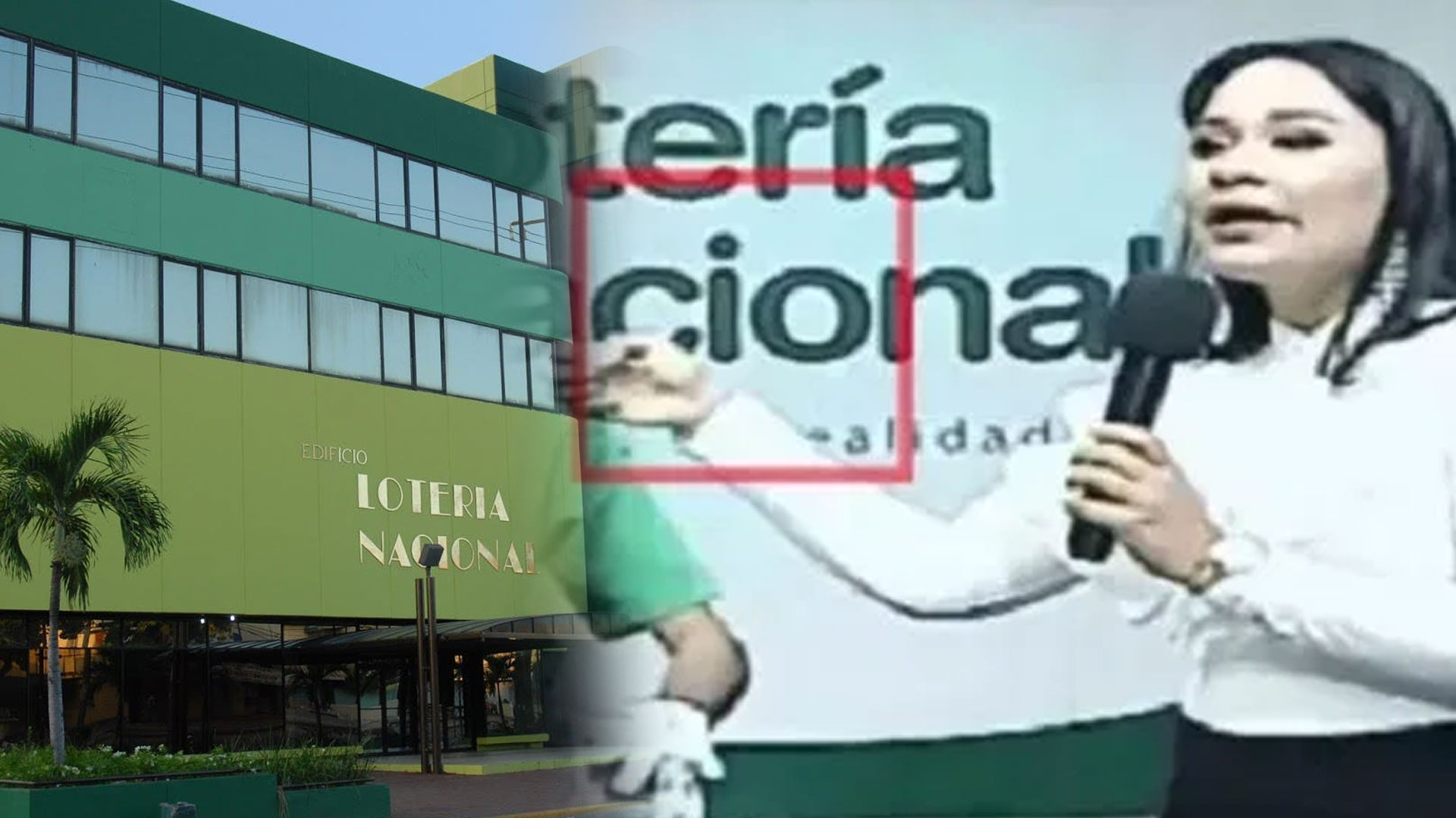 ¡Contundentes Detalles! Presentan Una Querella Formal En Demanda A La Lotería Nacional