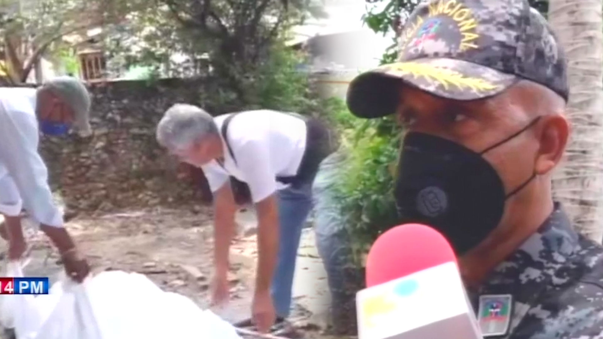 Hombre Nacional Haitiano Trata De Tumbar Unos Mangos ¡Mira Lo Que Pasó!