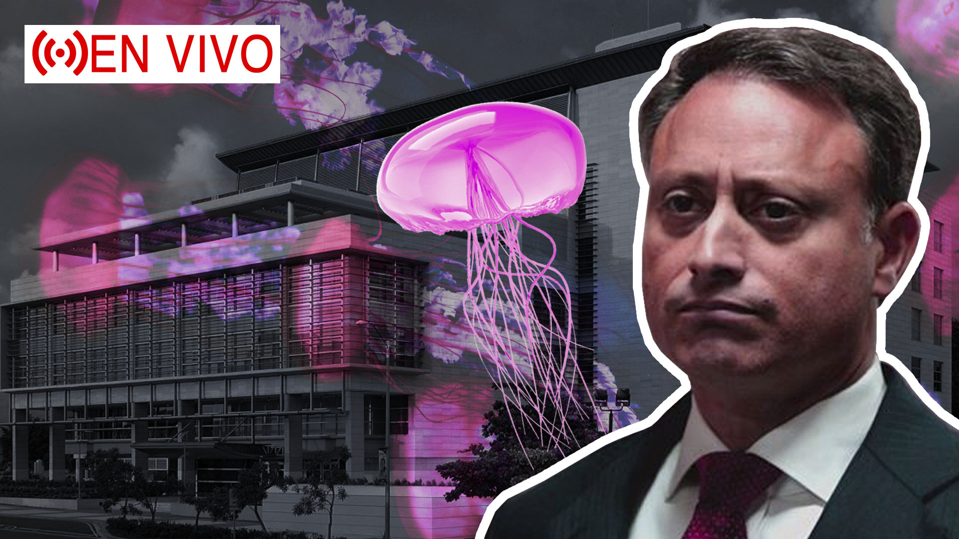 EN VIVO: Jean Alain Ya Se Encuentra En El Palacio De Justicia De Ciudad Nueva