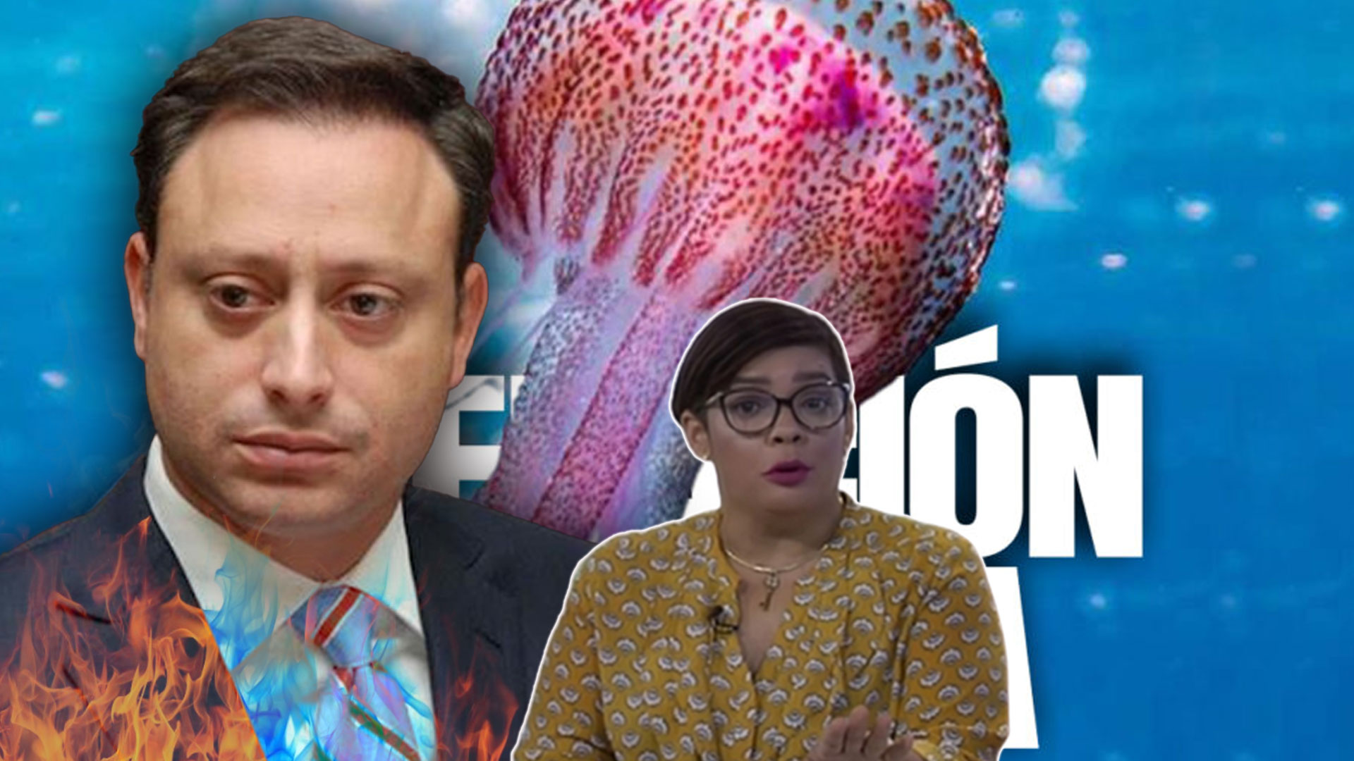 Ana Mercy Comenta: “ Fue Jean Alain Que Nos Enseñó A Hacer Este Show”