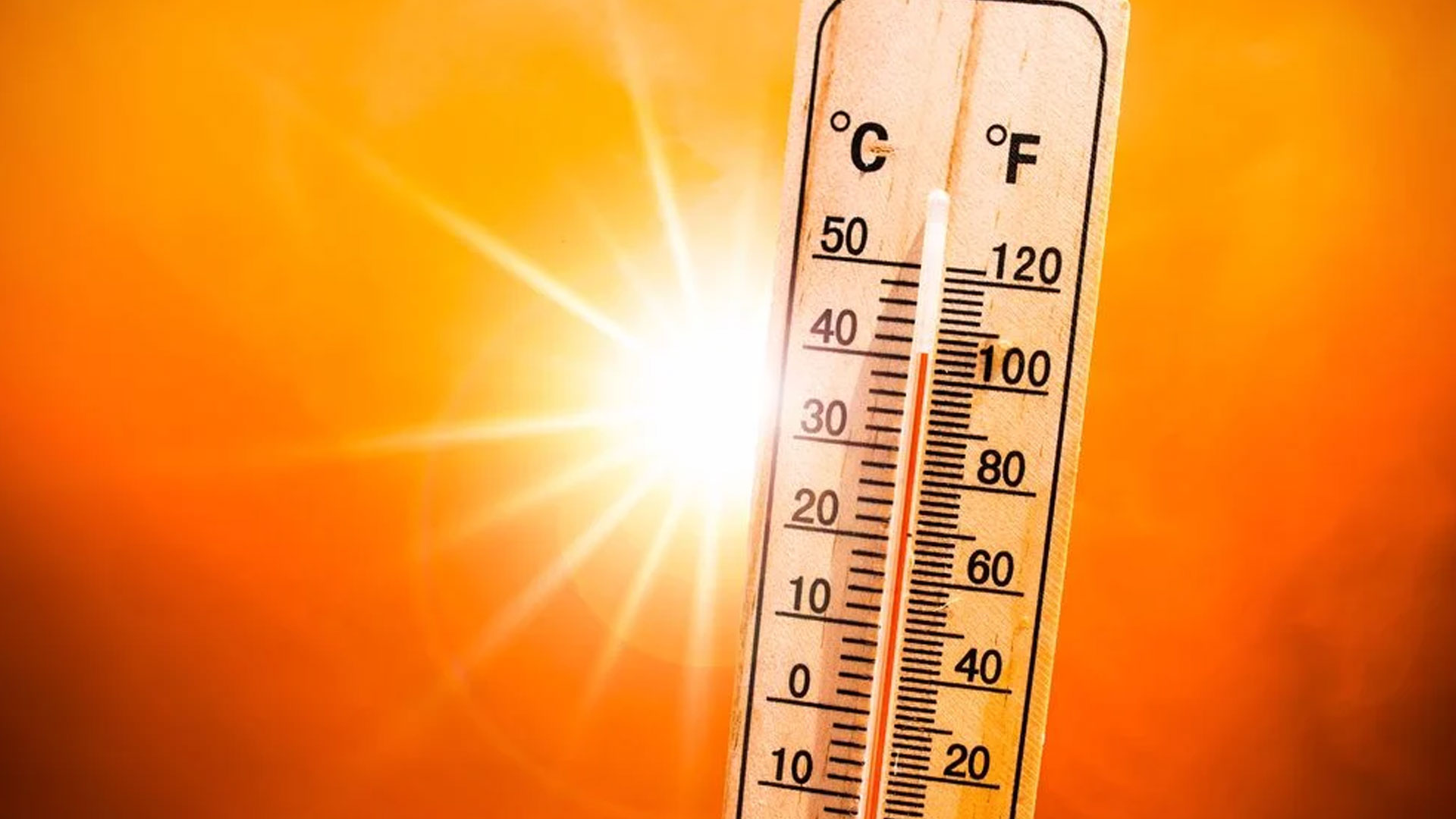 El Mortal Calor En Canadá Y EE. UU. Causando Muerte 