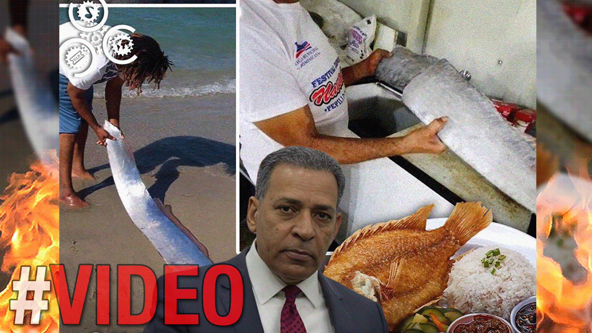 Osiris De León: “No Hay Pruebas Científicas Sobre Predicciones Del Pez Remo” | El Show Del Mediodía