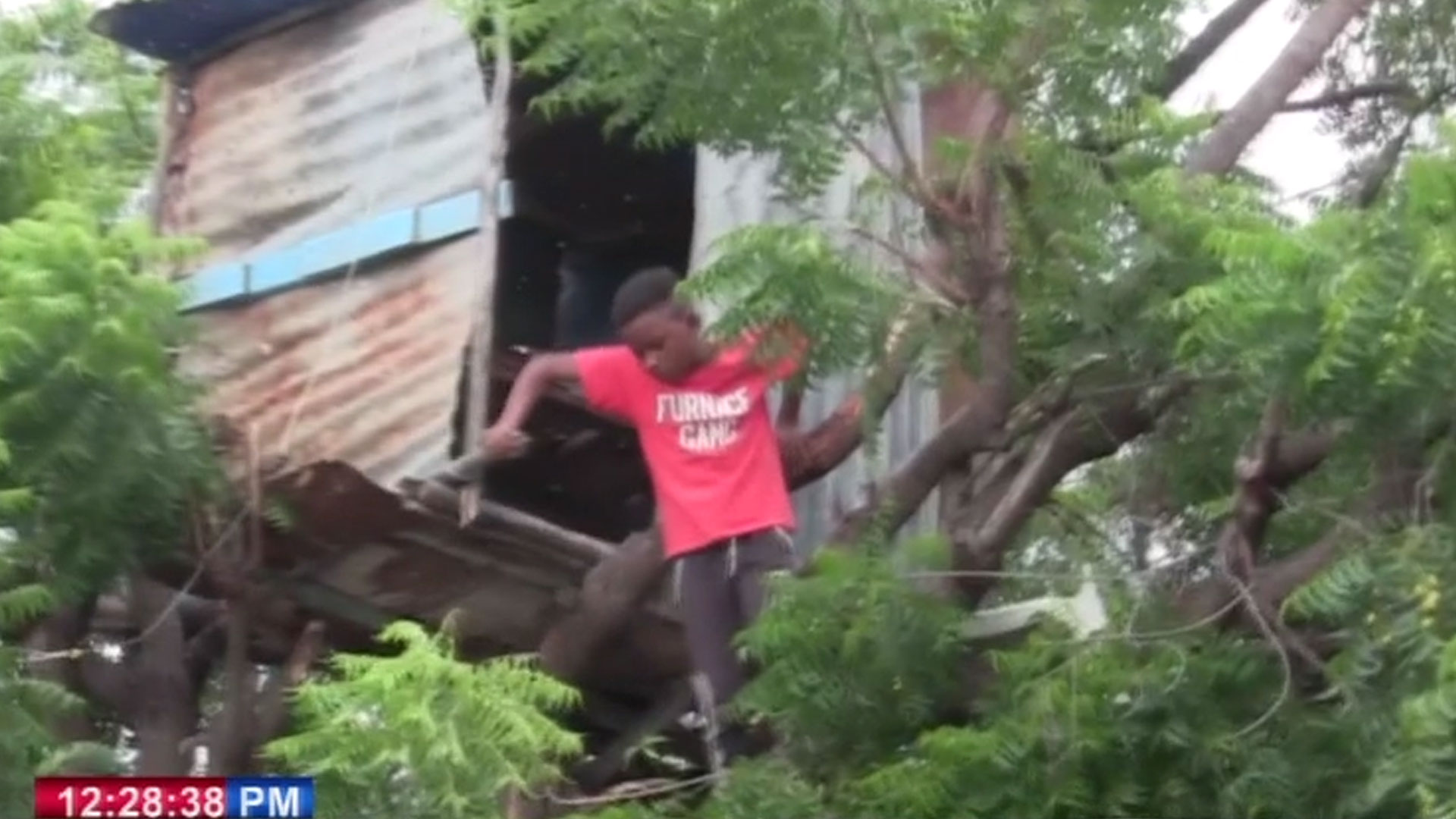¡Conmovedor! Esta Es La Nueva Realidad De Niño Que Vivía En Una Casa Del árbol