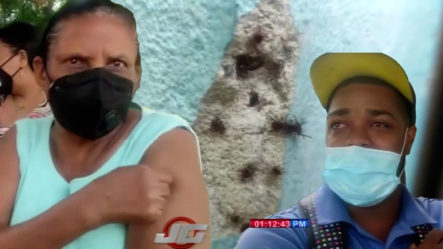 Moradores De Santiago Oeste Piden La Intervención De Salud Pública Por Invasión De Garrapatas 