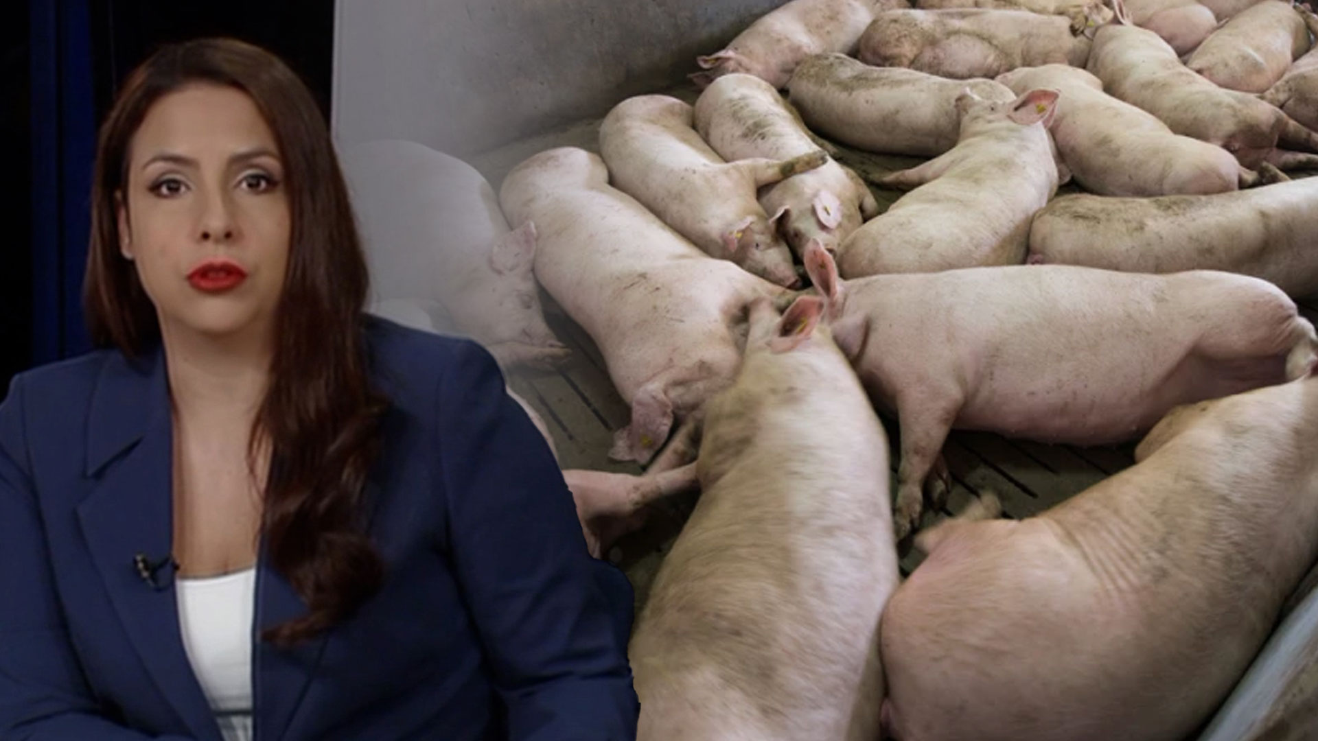 Laura Castellanos Dice: “Hay Que Aplaudir Que El Gobierno Está Tomando Esta Medida” ¡Mira Porqué!