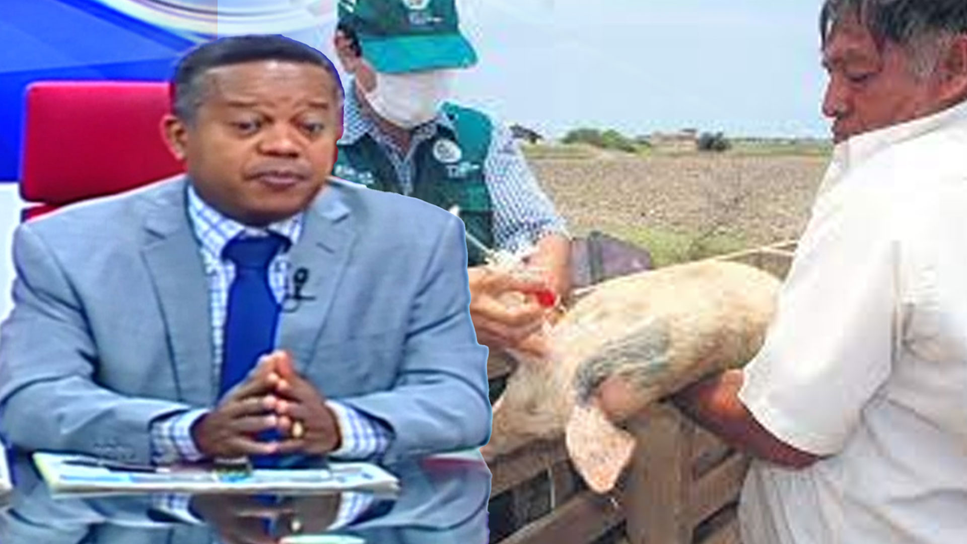 Rafael Caminero Habla Sobre La Gripe Porcina Africana Que Está Azotando La Industria Ganadera