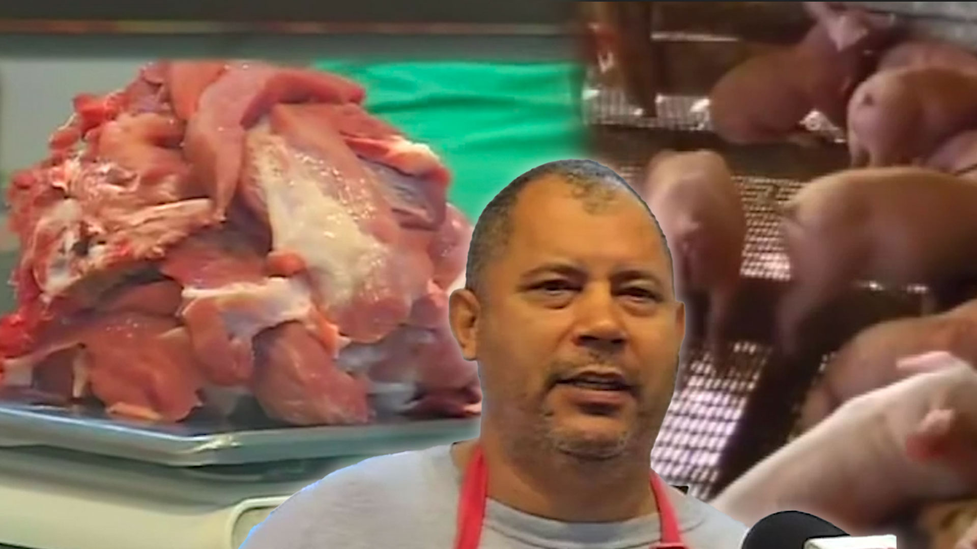 Comerciantes Están Preocupados Por La Peste Porcina Africana