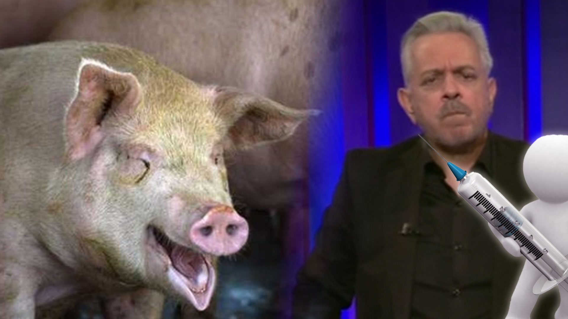 Juan La Mur Dice: “No Hay Vacunas Para La Peste Porcina Africana”