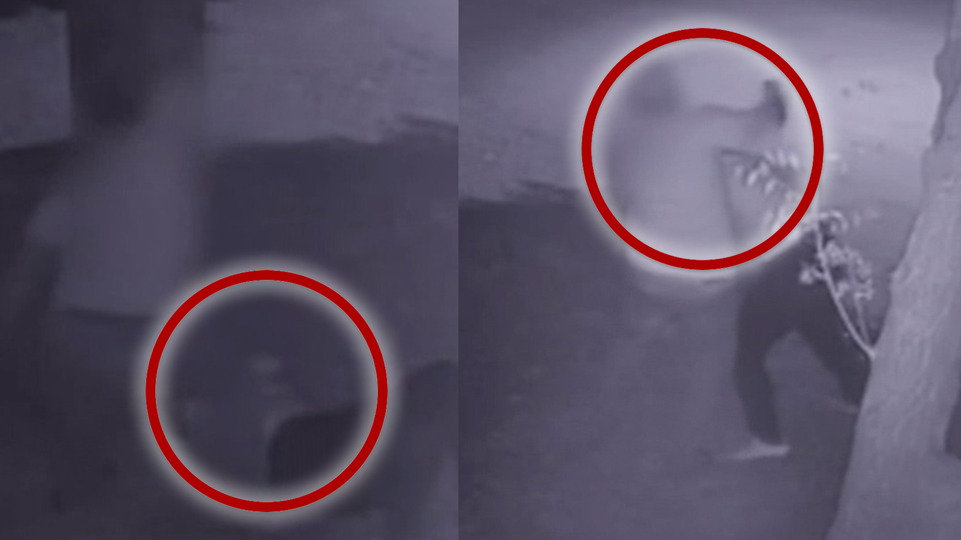 Momento En Que Hombre Le Entra A “trompá” A Su Mujer Porque Esta Abandonó Un Partido De Futbol