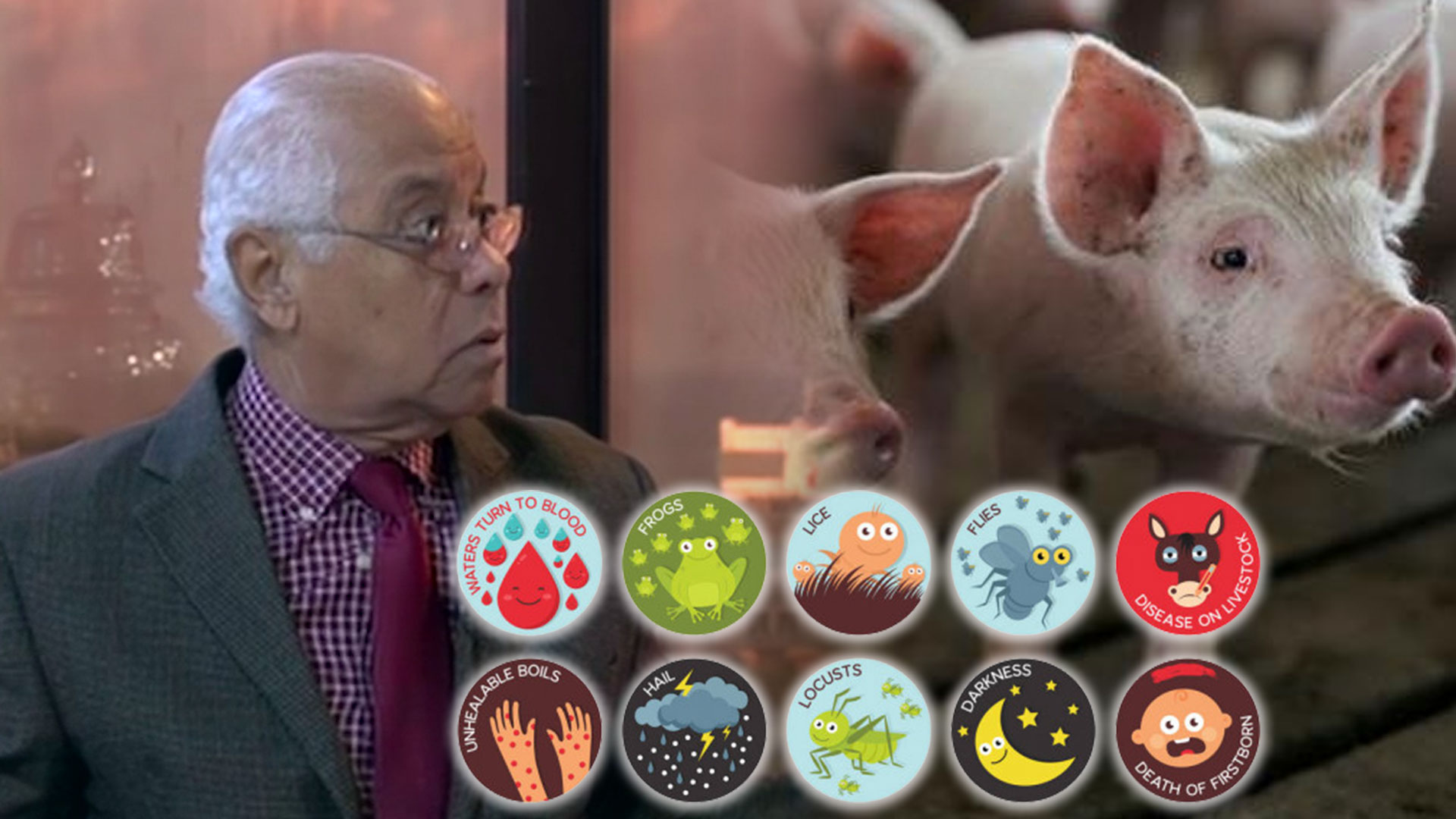 Comunicador Dice: “Si No Toman Las Medidas Necesarias En El País, Vendrán Las 7 Plagas De Egipto”