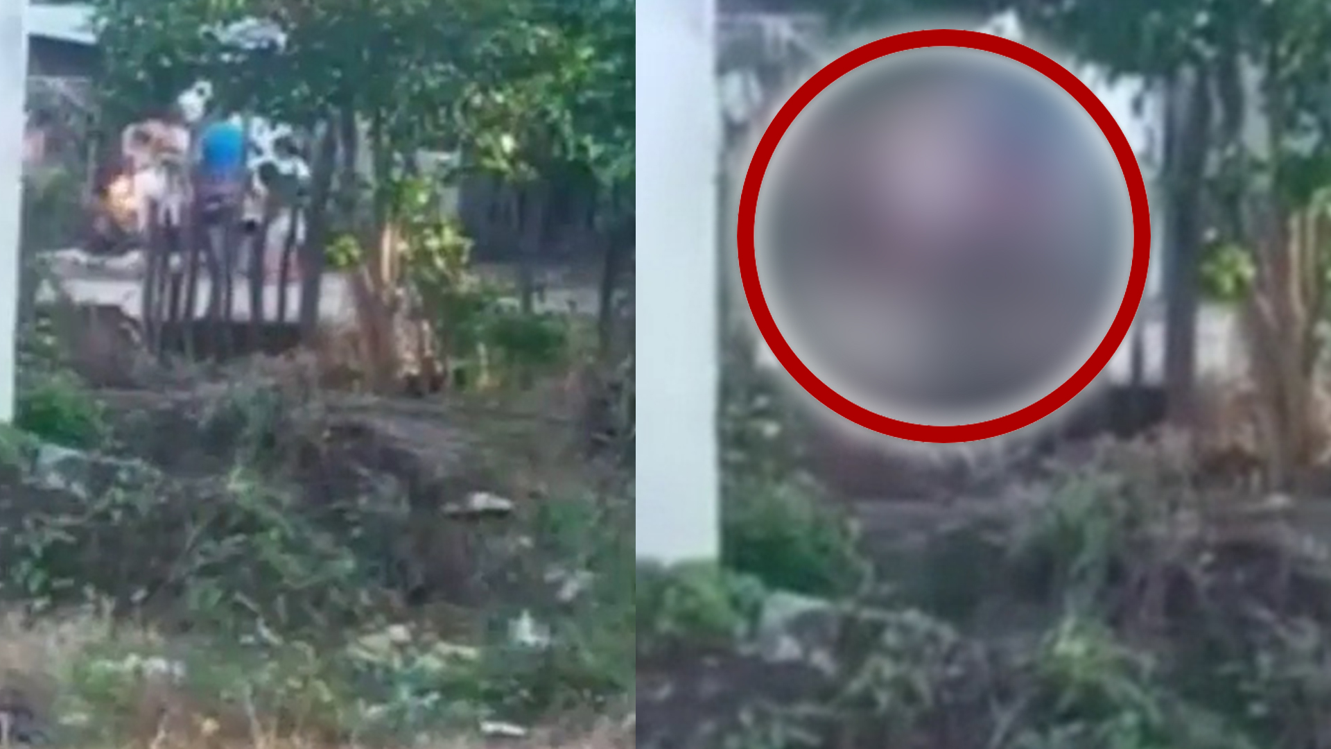 Abuela Castiga A Su Nieto De 7 Años Prendiéndole En Fuego Con Una Antorcha