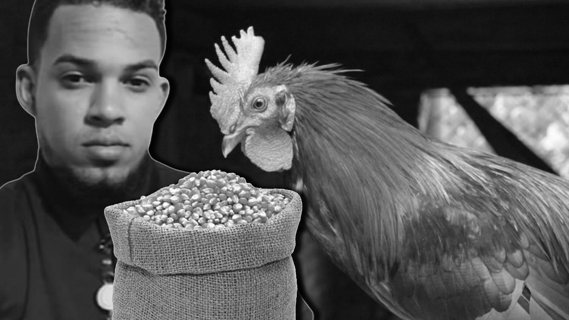 Joven Pierde La Vida Tras Tener Contacto Con Un Cable Eléctrico