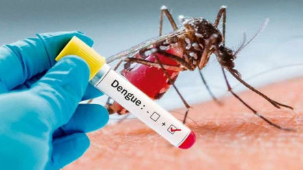 Preocupaciones Ante El Posible Brote De Dengue Por Las Recientes Lluvias 