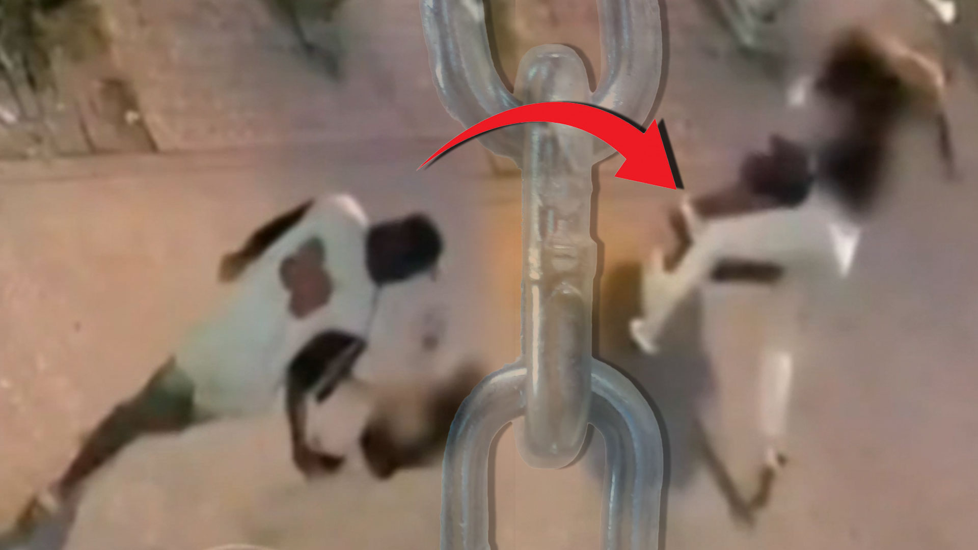 Mujer Trata De Defenderse De Un Desconocido En Nueva York, ¡Mira Lo Que Le Pasa!