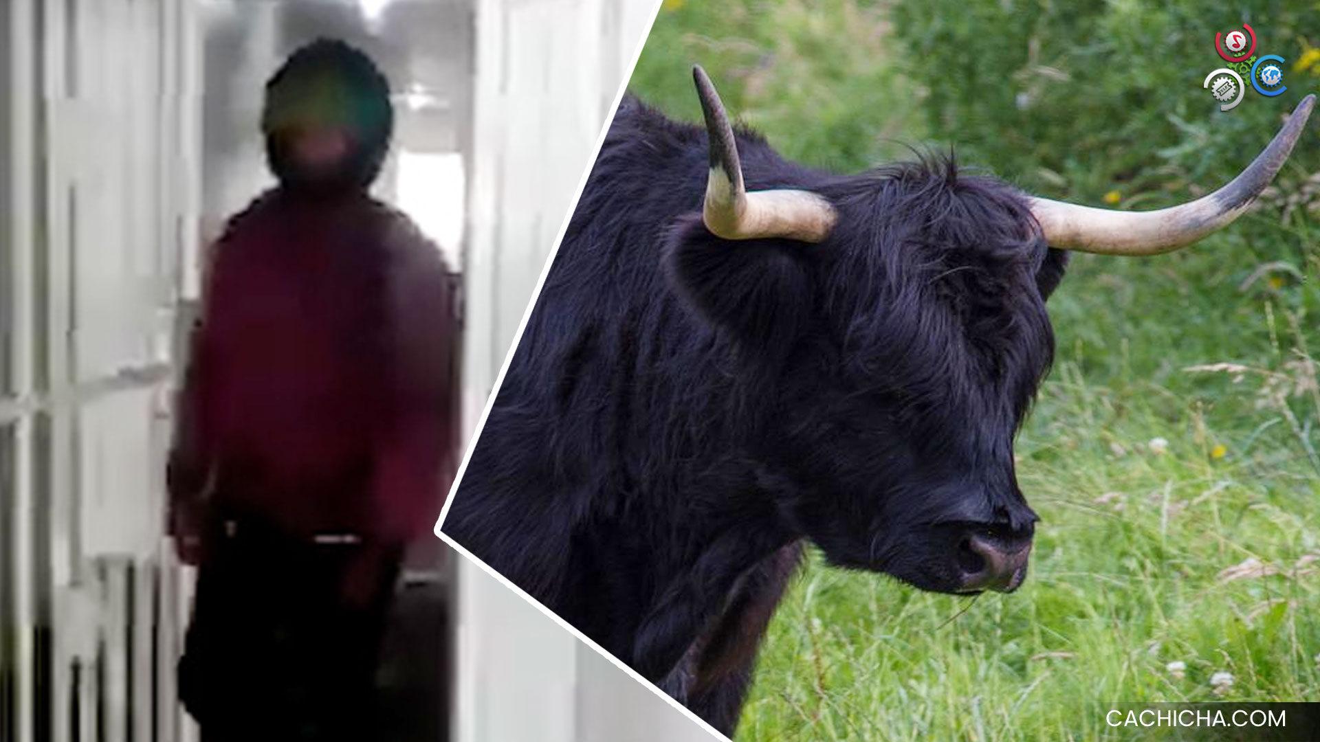 ¡Infiel! Hombre Encuentra Su Esposa En Un Hotel Con Un Policía