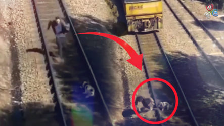 Hombre Le Salva La Vida A Un Perro Que Estaba Amarrado En Las Vías Del Tren Y Casi Lo Arrolla 