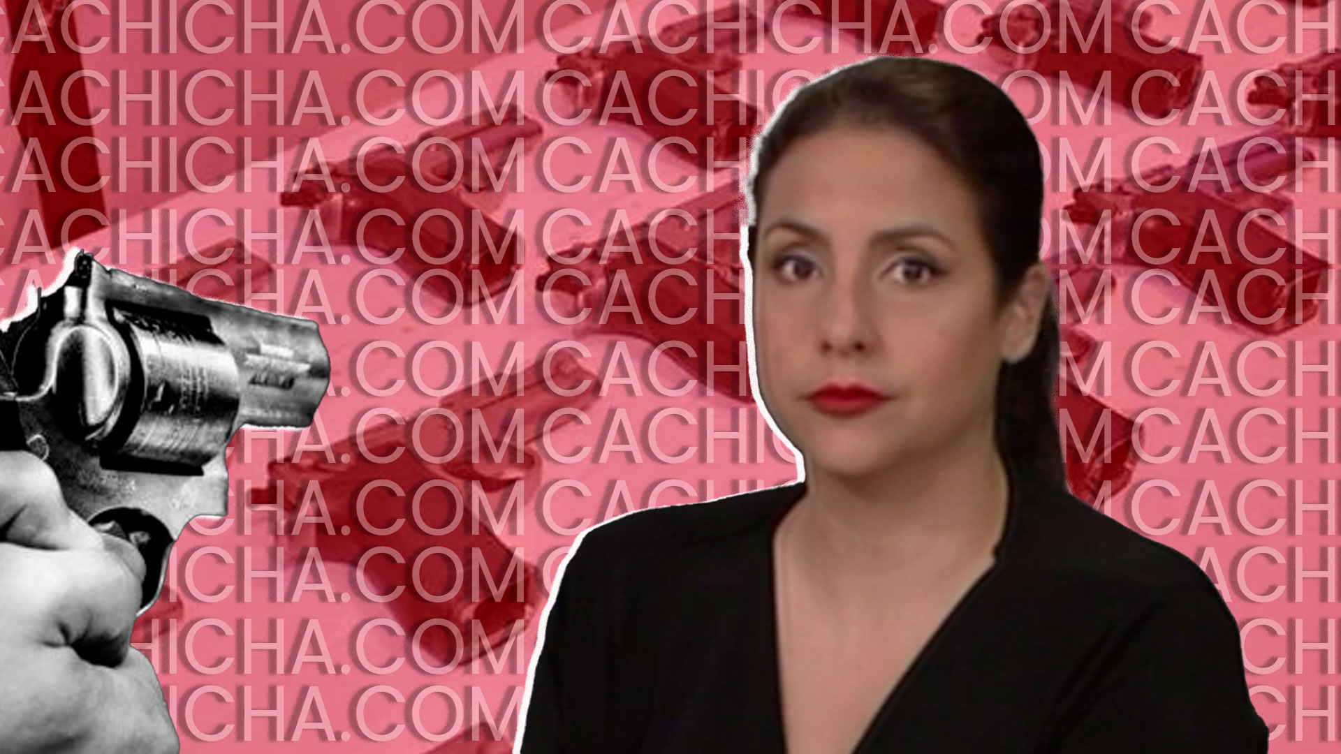 Laura Castellanos Dice: “Poca Efectividad Que Está Teniendo El Plan De Recogida De Armas”