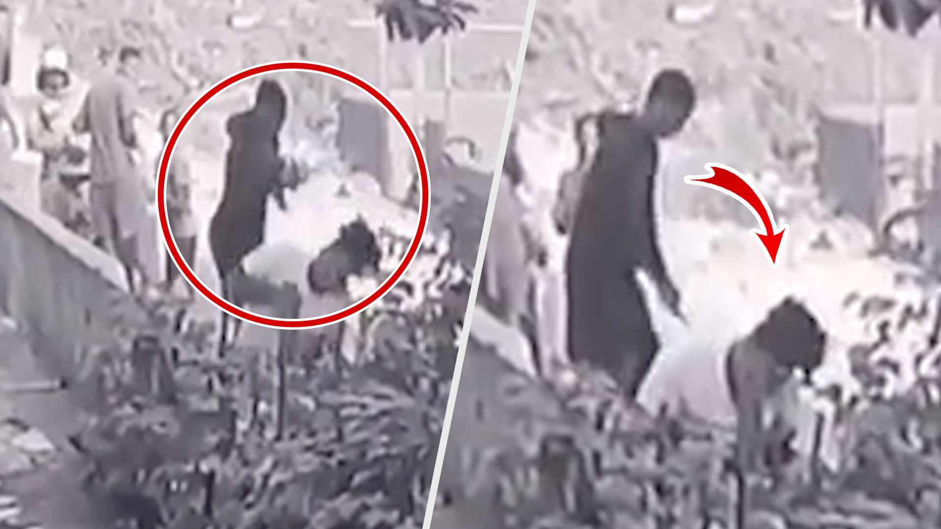 ¡Vivo Para Contarlo! Momento En Que Intentan Asesinar A Tiros Un Joven En Cristo Rey, DN 