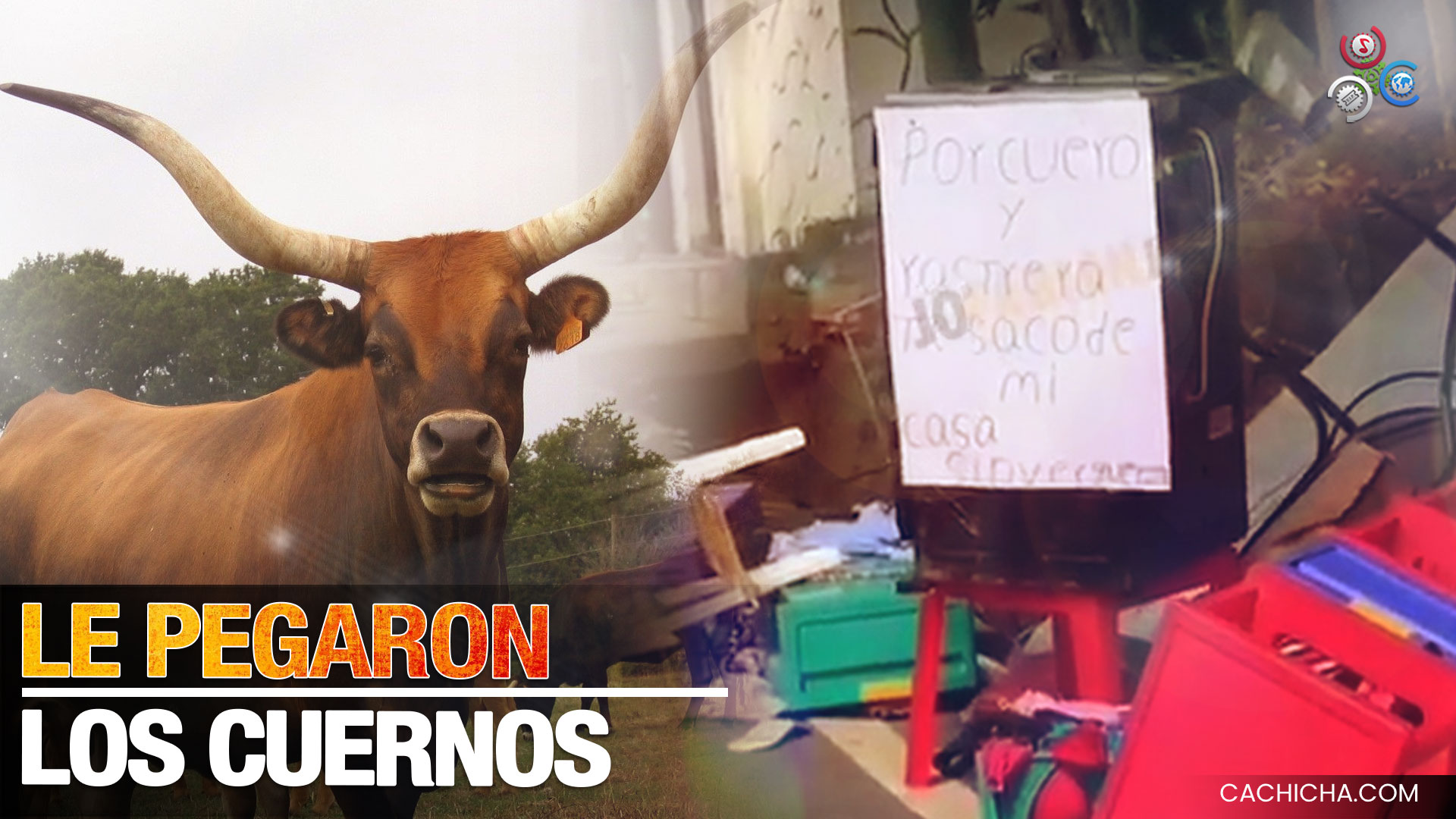 Hombre Le Tira Todo A La Calle A Su Ex Esposa, Porque Le Pegó Los Cuernos