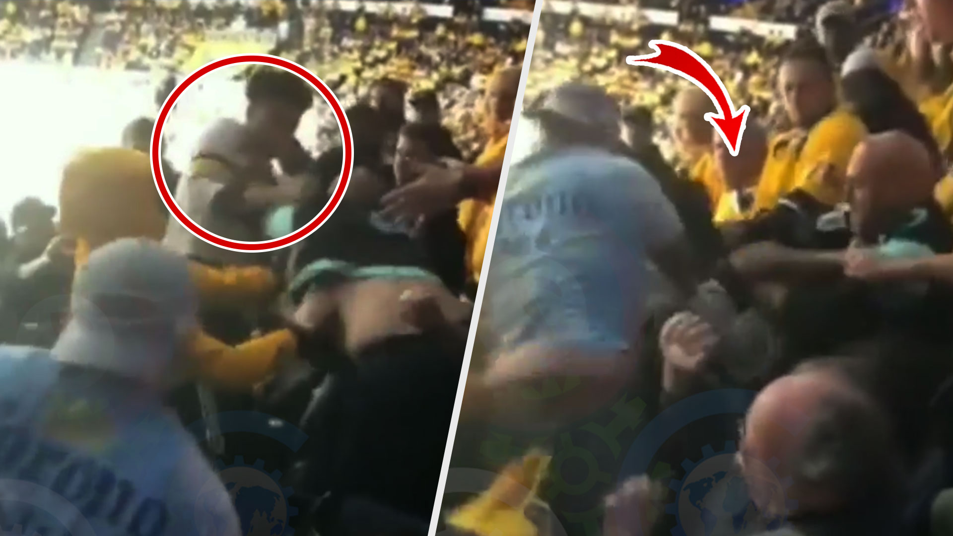 Se Arma Tremendo Pleito En un Partido De Hockey (Te Sorprenderá La Reacción De Una Mujer) 