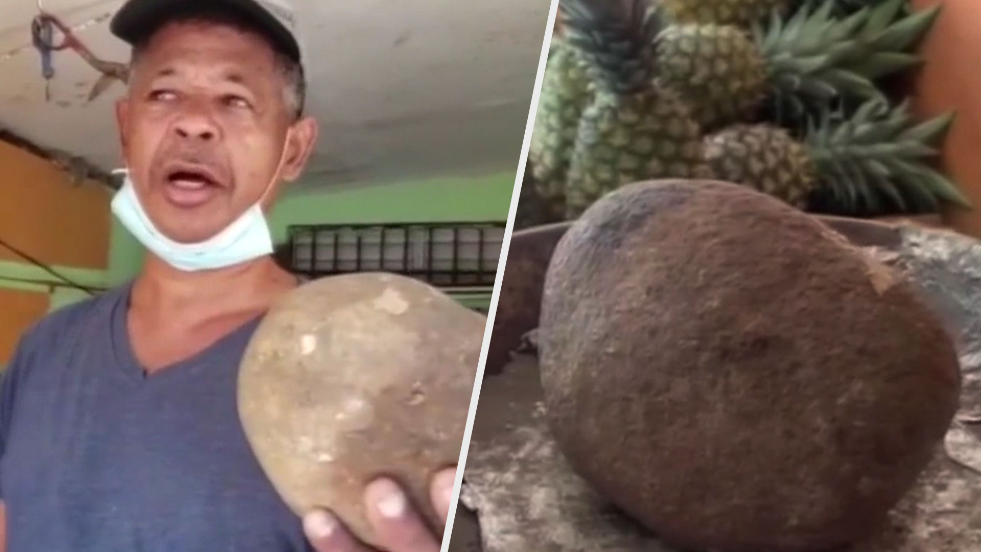 Estafan Un Hombre Y Le Venden Una Piedra De Cuatro Libras Cuando Fue A Comprar Víveres Al Mercado 