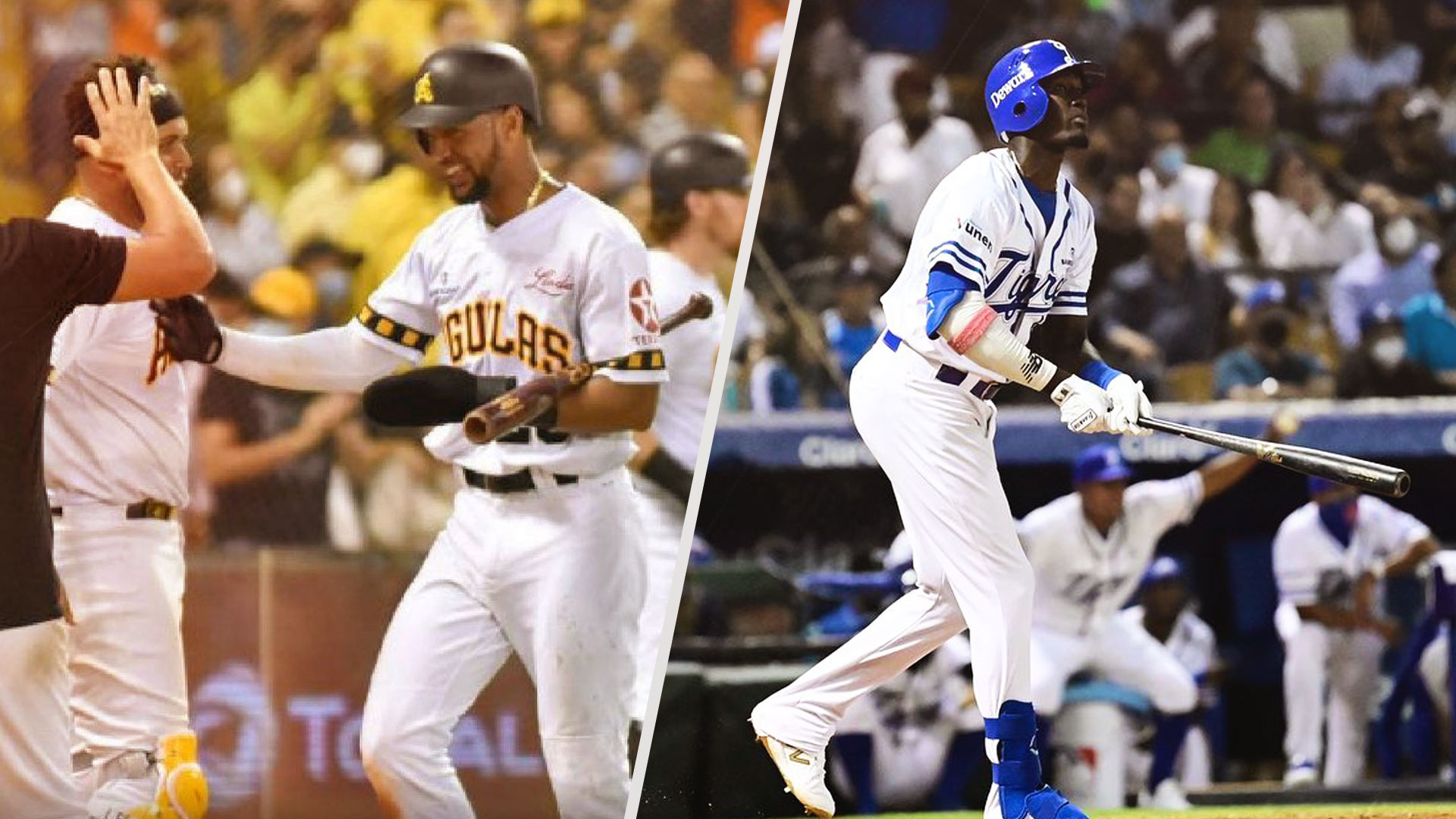 ¡Comenzó La Leña! Se Da Inicio Formalmente De La Liga De Beisbol Invernal Dominicana