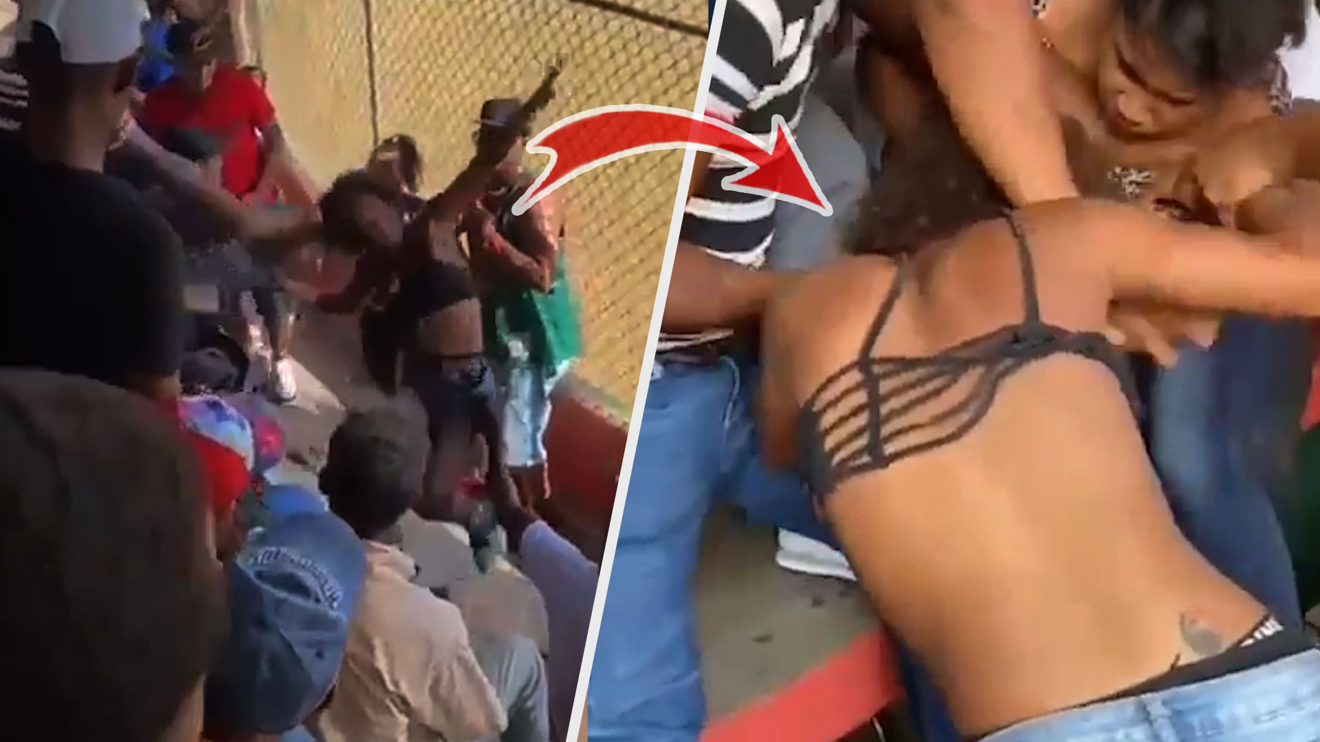 Dos Mujeres Se Entran A Galletas En Un Torneo De Softbol en La Vega | Se Arrancaron Los Moños 