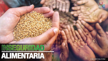 Nueve Millones De Centroamericanos Sufren Inseguridad Alimentaria
