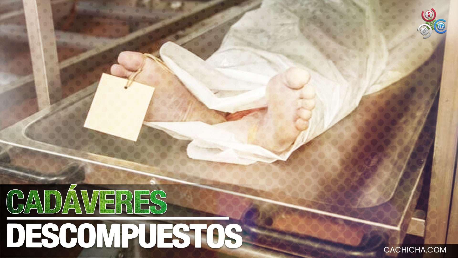 Hallan Dos Cadáveres Con Gusanos Y Descompuestos En Un Apartamento En Nueva York