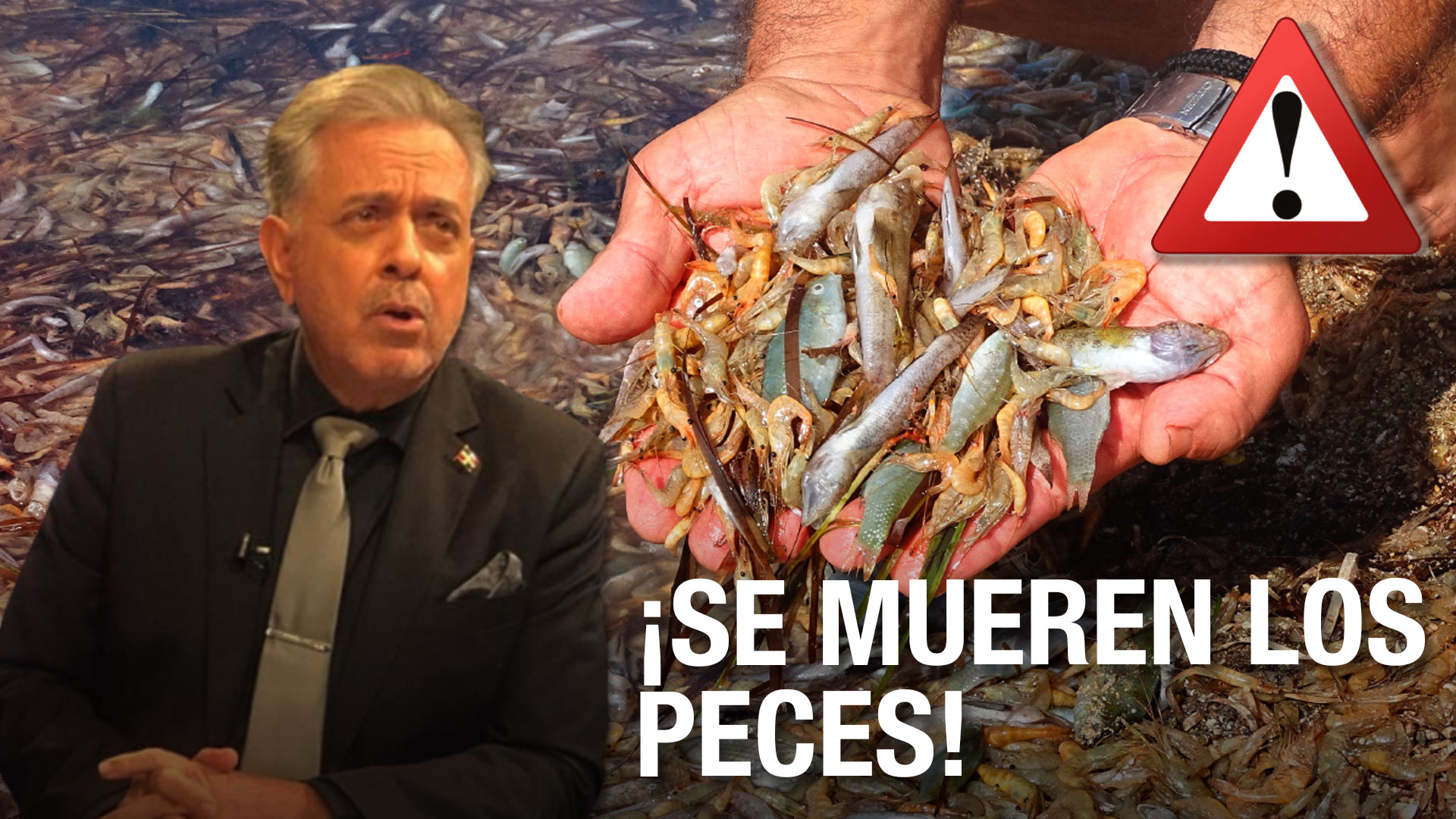 ¡Se Mueren Los Peces! Y No Tenemos A Jesús Para Multiplicarlos | Sabana De La Mar Y Samaná