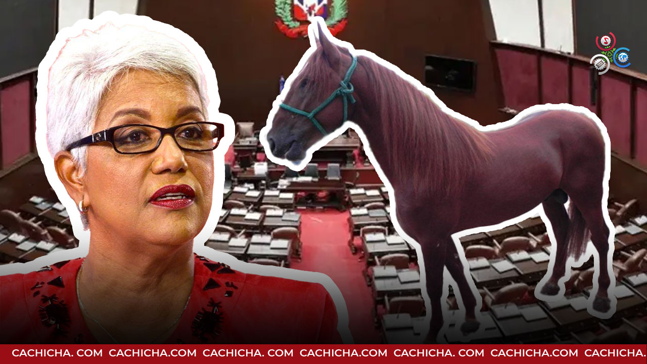 Aprueban Ley Del Caballo Higueyano