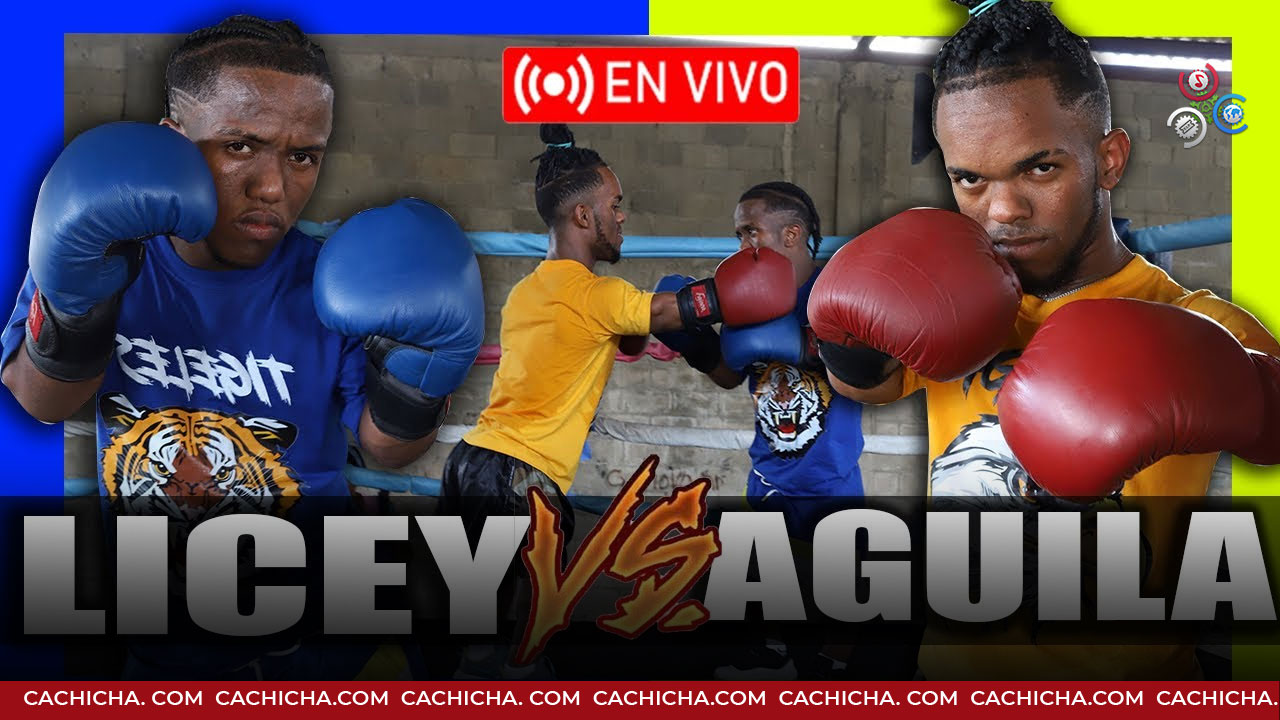 Licey Vs Águila En Vivo; Pelea De Enanos