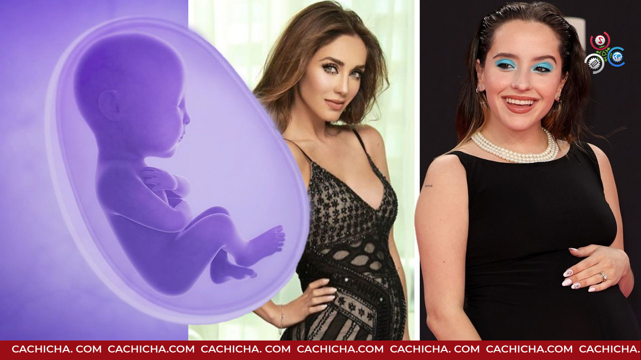 Ginecólogo Dice Es Falso Placenta De Algún Beneficio A Mujeres