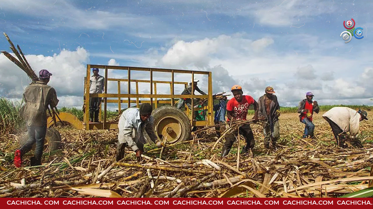 Miles De Empleos En Riesgo Tras Veto De EE.UU.