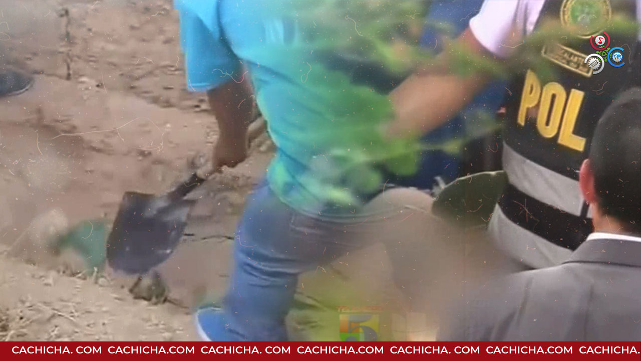 Encuentran Restos De Adolescente Asesinado A Puñaladas Por Su Compañero