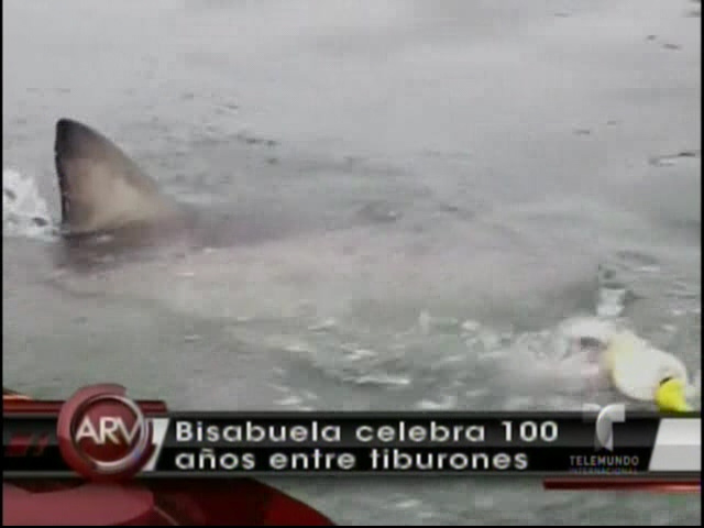 Anciana De Cien Años Pasa De Tirarse En Paracaídas A Nadar Con Tiburones