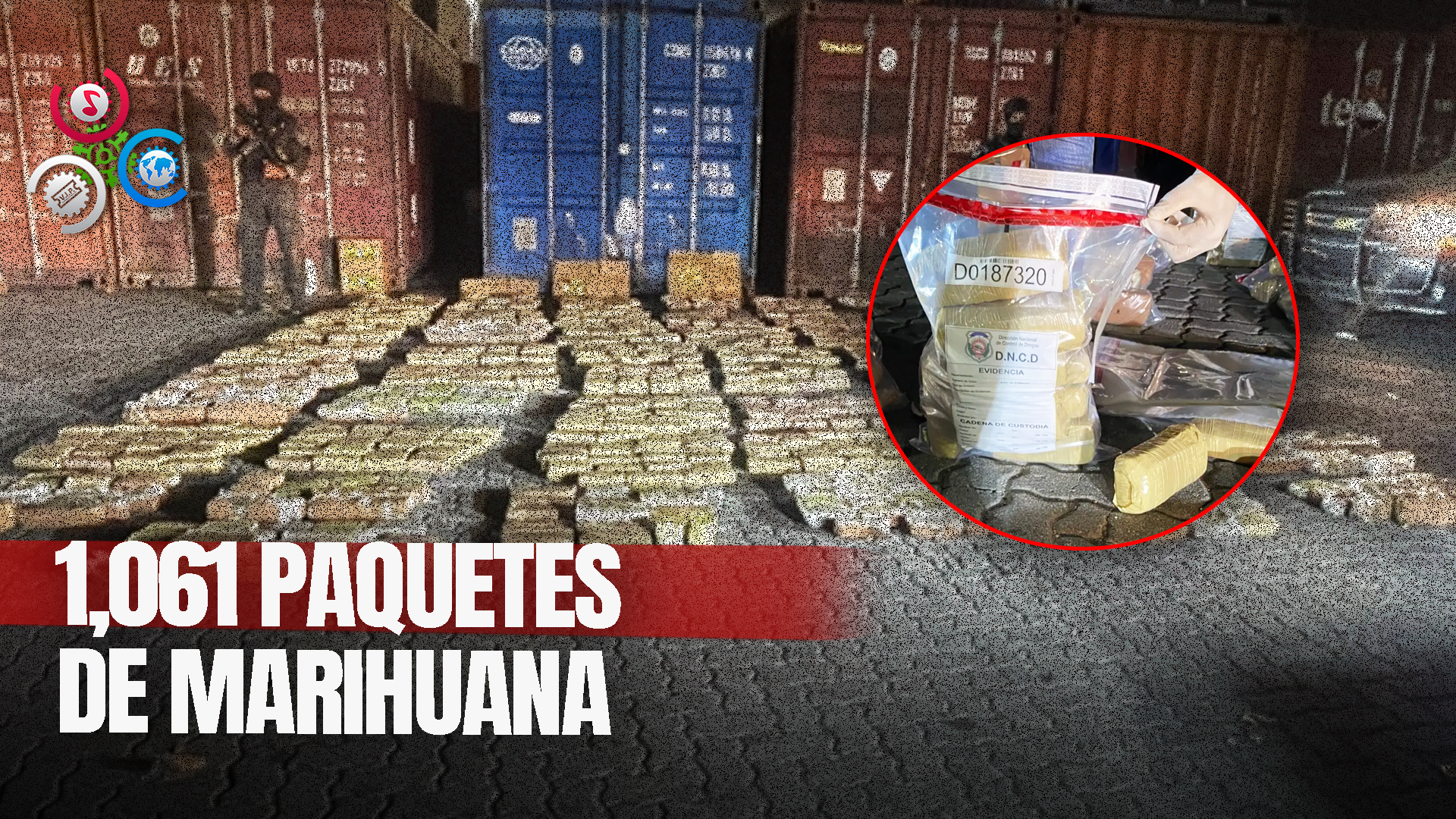 En Puerto Caucedo Aseguran Contenedor Con 1,061 Paquetes De Marihuana