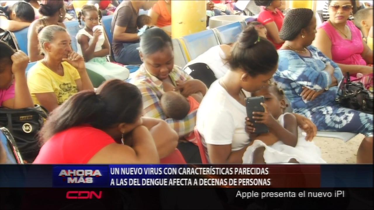 Un Nuevo Virus Con Características Parecidas A La Del Dengue Afecta A Decenas De Personas